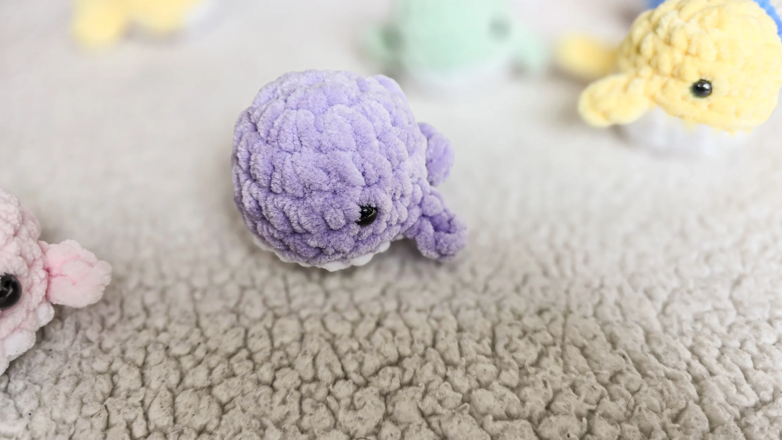 20240423_102637 (1)kk